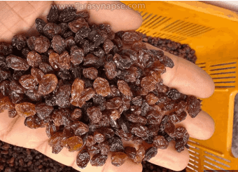 تصویر 1 از کشمش پلویی صادراتی با عطر طبیعی مناسب مصرف حرفه‌ای